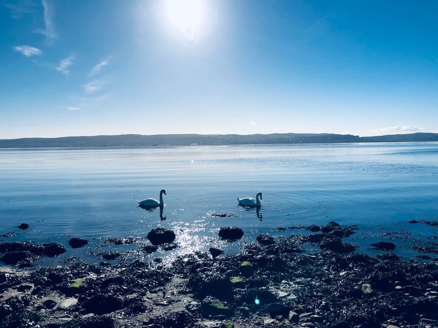 養(yǎng)殖廢水如何處理-污水處理設(shè)備-青島樂中環(huán)?？萍加邢薰? /> 
	</p>
<p style=