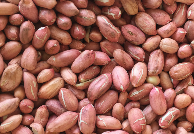 花生清洗加工廢水的特點(diǎn)及處理方法-樂(lè)中環(huán)保 花生清洗加工廢水的特點(diǎn)及處理方法-樂(lè)中環(huán)保