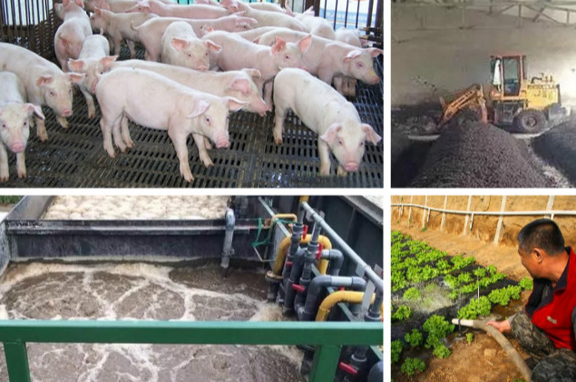 養(yǎng)殖污水處理一體設(shè)備多少錢？養(yǎng)殖污水處理方法