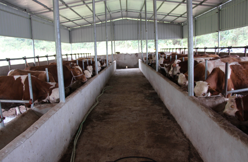 養(yǎng)殖場(chǎng)污水處理方法，養(yǎng)殖污水處理設(shè)備的用途講解02