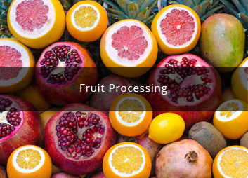 食品廠污水處理新思路，印度食品污水處理經(jīng)驗(yàn)淺析01