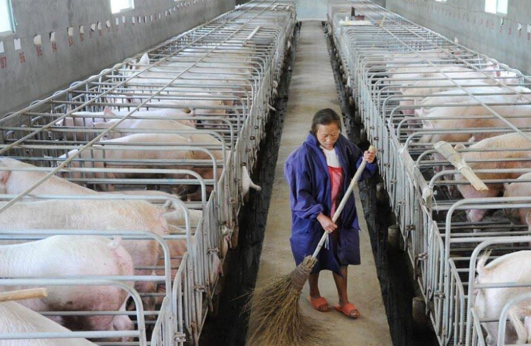 畜牧污水處理設備哪家好，養(yǎng)殖污水處理設備哪家好