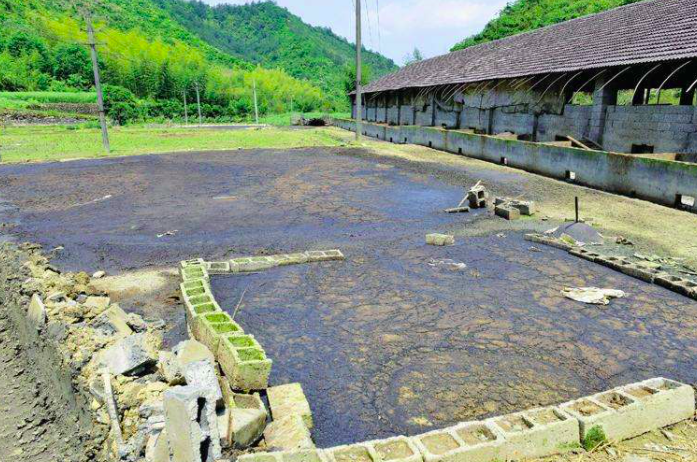 養(yǎng)豬污水變清水最快方法，養(yǎng)豬場(chǎng)污水處理方法有哪些-樂(lè)中環(huán)保