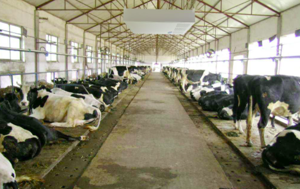 養(yǎng)殖屠宰污水處理設(shè)備使用前，要注意這兩點！01