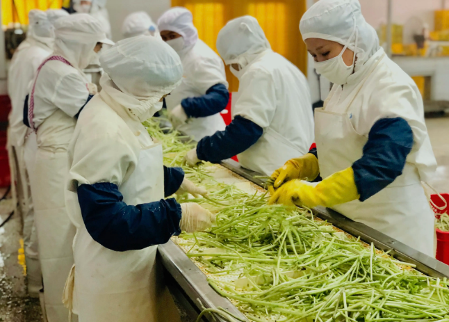 三種食品污水處理設(shè)備工藝流程，看看哪種適合您？