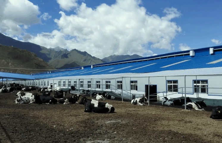 100多頭豬養(yǎng)殖廢水處理方法，用這兩種方法投入低、輕松達(dá)標(biāo)！