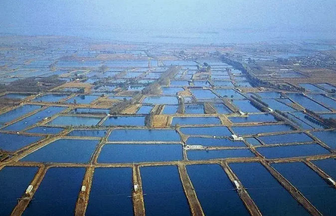 一次性說(shuō)清楚水產(chǎn)養(yǎng)殖廢水的主要處理工藝 一次性說(shuō)清楚水產(chǎn)養(yǎng)殖廢水的主要處理工藝